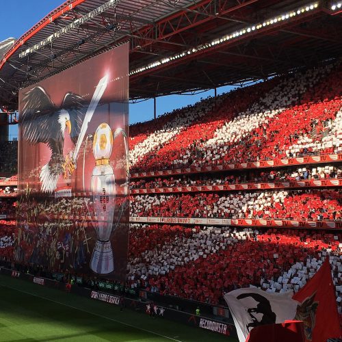 SL Benfica – Farense